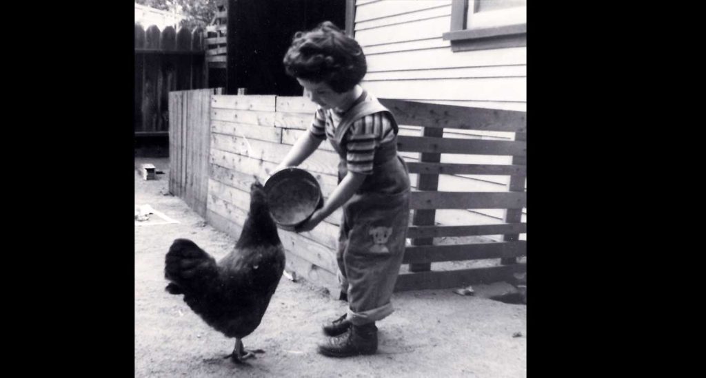 Laura with family chicken 1954