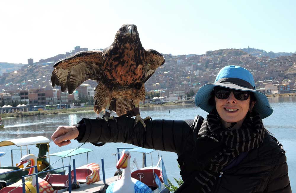 Laura and an Andean Eagle, Peru
