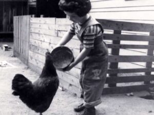 Laura with family chicken 1954