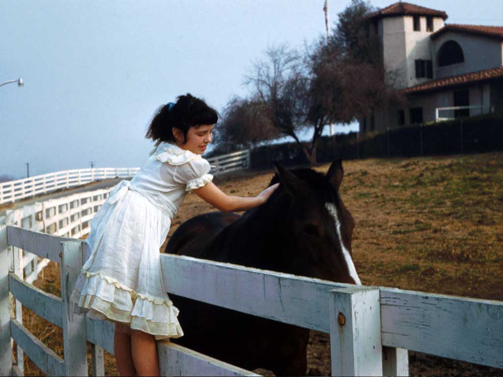 Laura visiting horse at Pomona